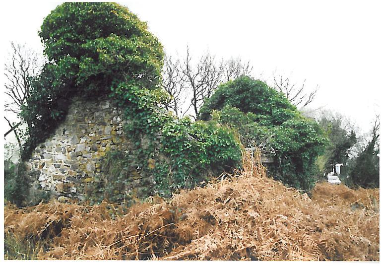 Kanndi de Balanec (Saint-Urbain)