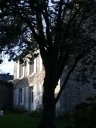 Maison, 15 rue de Trozoul (Trébeurden)