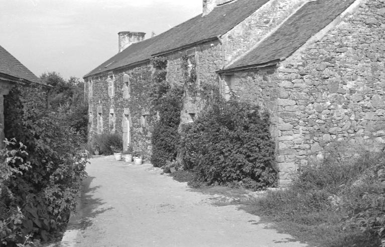 Ferme, Lilio (Caden)