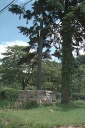 Croix de chemin, la Croix Verte (Livré-sur-Changeon)