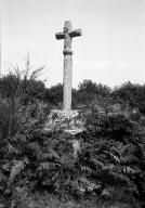 Croix monumentale, le Moustoir (Neulliac)