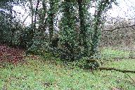 Kanndi de Kerriou (Ploudiry)