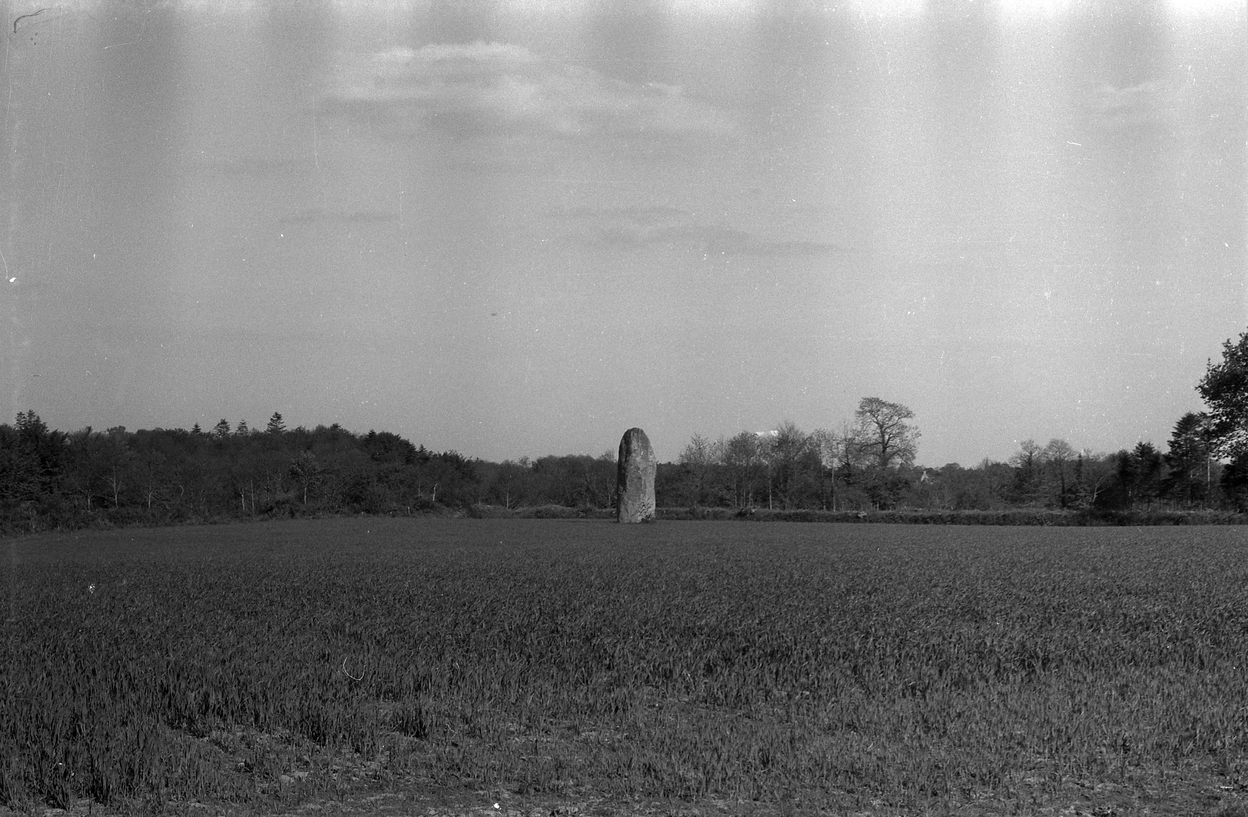 Menhir de Kerguézennec, Parc Minhir Kerguezennec (Bégard)