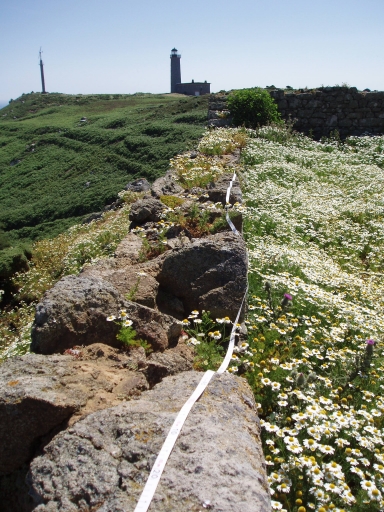 Ouvrage fortifié : murs défensifs et chemins de ronde de l'Île aux Moines (Perros-Guirec)