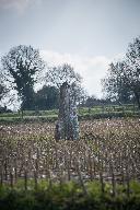 Menhir dit La Roche Longue, la Croix Seigneur (Saint-Marcan)