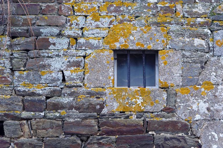 Manoir de la Basse Hautière (Saint-Ouen-la-Rouërie fusionnée en Val-Couesnon en 2019)