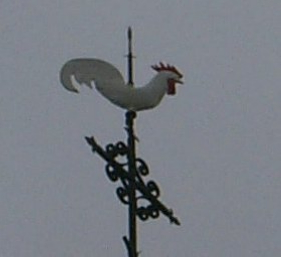 Coq