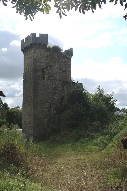 Château de La Chèze (La Chéze)