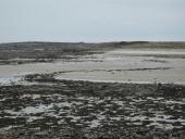 Pêcherie de l'Île Morvil (Pleumeur-Bodou)