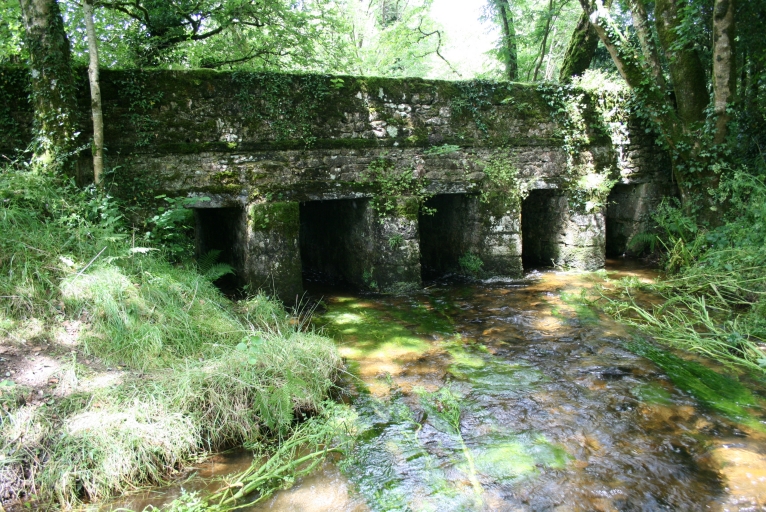 Pont, Quilliou Dour (Plounéour-Ménez)