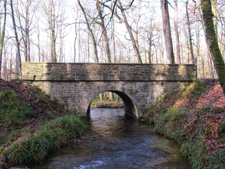 Pont, forêt du Cranou (Hanvec)