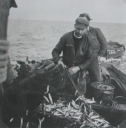 Filet droit à sardines