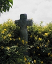 Les églises paroissiales et croix monumentales sur la commune de Hirel