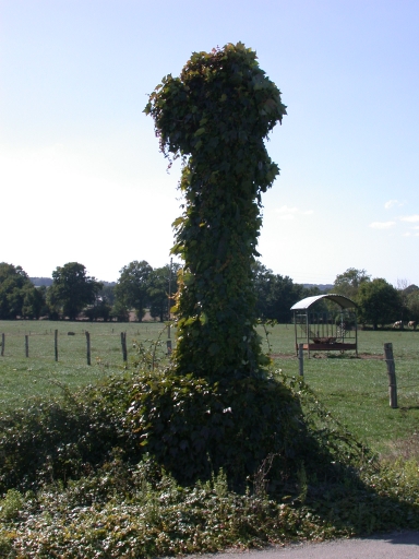 Croix de chemin, le Puits Corbin (Le Pertre)