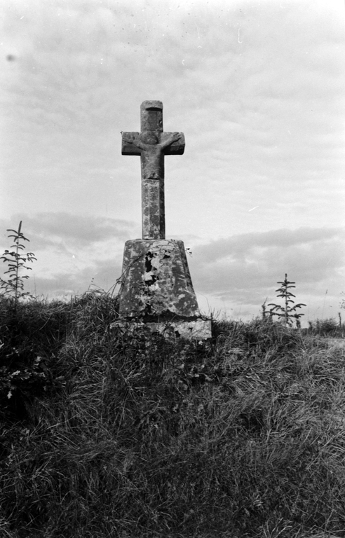 Croix de chemin, près de la Meslais (Plumaugat)