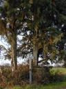Croix de chemin, Mauzé (Torcé)