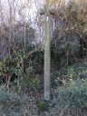 Croix de chemin, Chenillé (Saint-Léger-des-Prés)