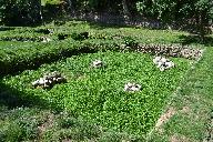 Routoirs de Horc'hant ou Gwazh an Orc'hant (Trédarzec)