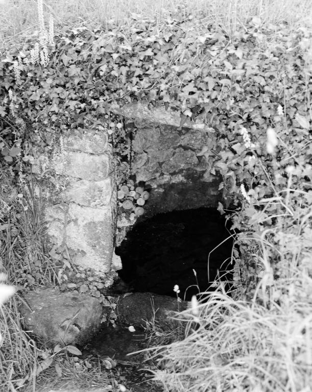 Fontaine, entre le Penher et Kernaud (Surzur)