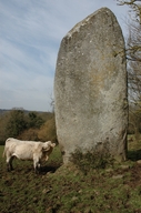 Menhir nord de Keranscot dit "Men-Bras" (Trégrom)