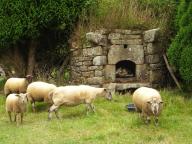 Inventaire des fours à pain en Bretagne