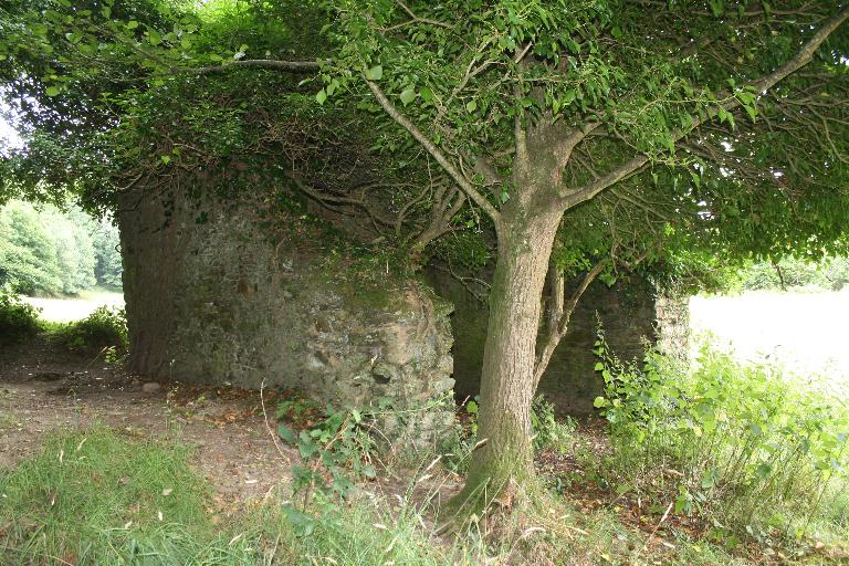 Moulin à papier, Lotéric (Saint-Thégonnec fusionnée en Saint-Thégonnec Loc-Eguiner en 2016)