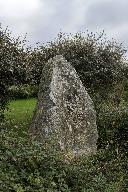 Menhir de Kervéniou, Parc-Goz (Penvénan)