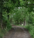Chemin rural de Pont Agan, Bien-y-Vient ; le Bas de la Côte (Yffiniac)