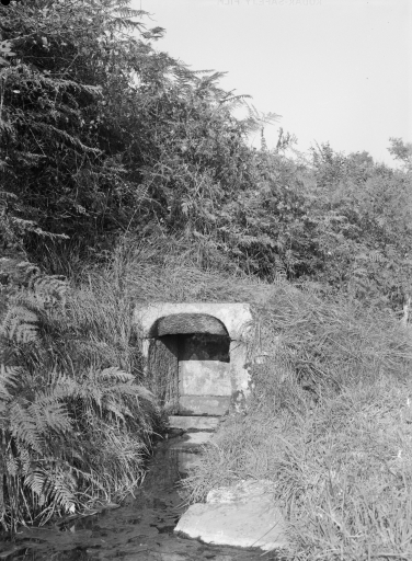 Fontaine de Dévotion, Saint-Sauveur (Poullaouen)