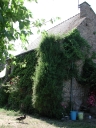 Maison, Bodiguel (Langon)