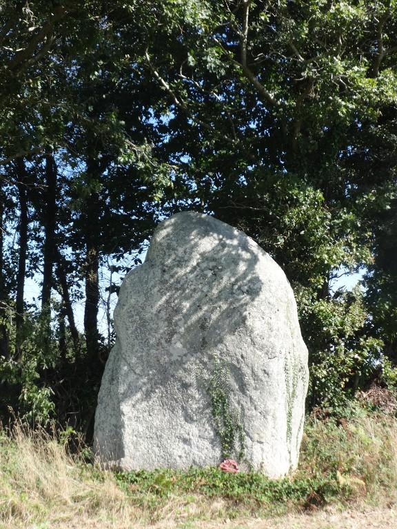 Menhir, près de la Lande des Bois (Saint-Guyomard)
