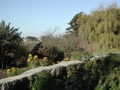 Murs de clôture et de soutènement, rue Conrad Joseph, Ile-Grande (Pleumeur-Bodou)
