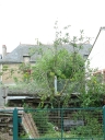 Maison, 1 rue de Saint-Brieuc (Bédée)