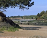 Moulin, le Lupin (Saint-Coulomb)