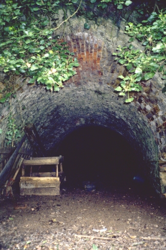 Usine de chaux, la Motte Saint-Gervais (Val-d'Izé)