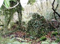 Kanndi de Penanros (Tréflévénez)