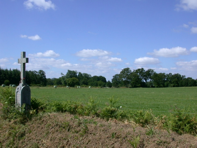 Croix de chemin (Romazy)