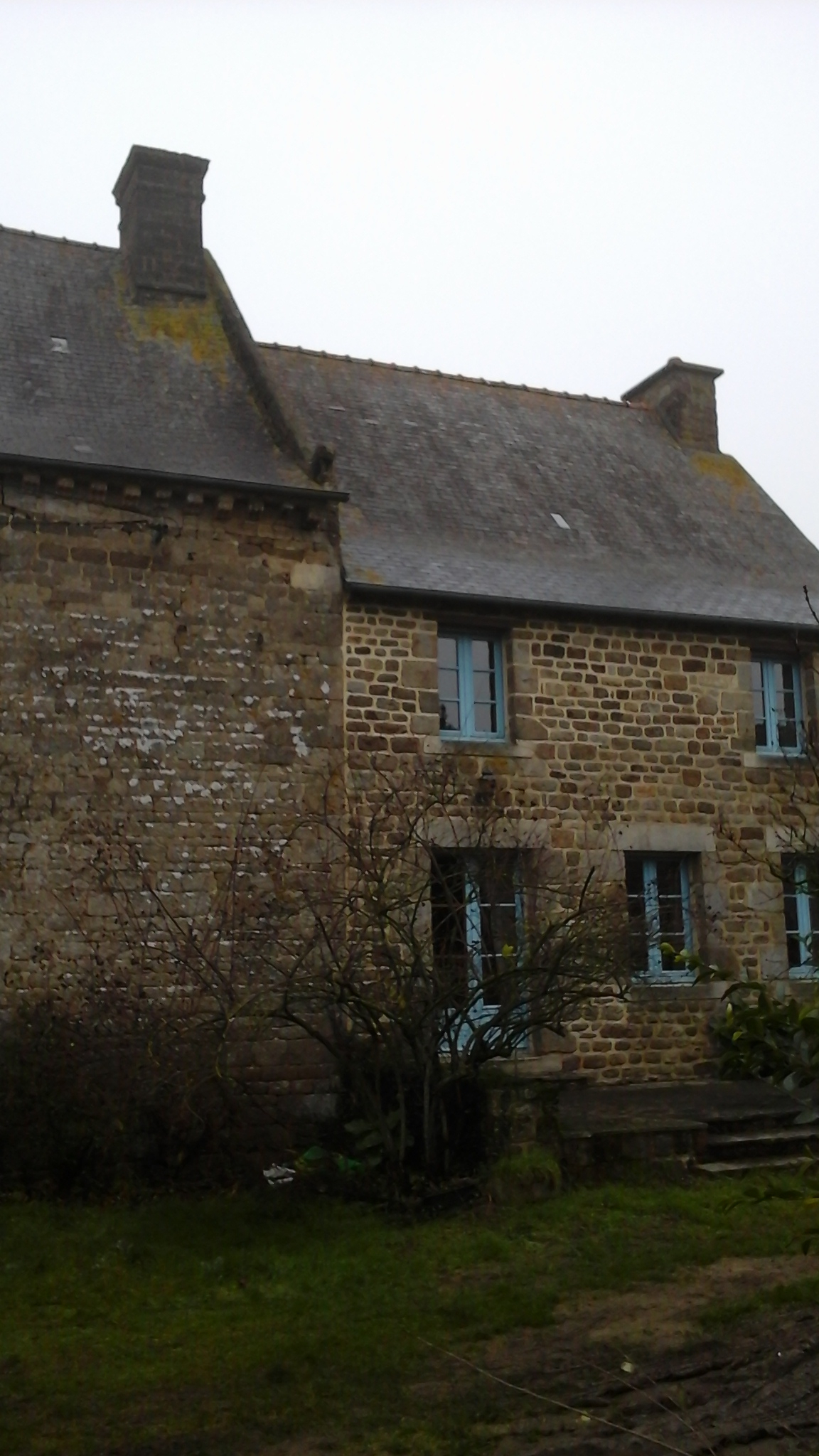 Manoir, le Frêne (Miniac-sous-Bécherel)