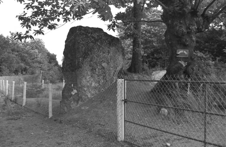 Menhir dit Pierre de Richebourg (Retiers)