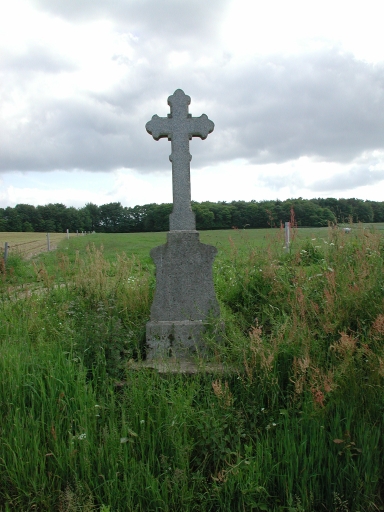 Croix de chemin, près des Rues Neuves (Paimpont)