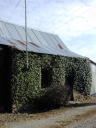 Maison, la Basse Nacherie (Domalain)