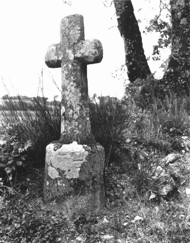 Croix de chemin (croix de carrefour), près de Kerlec (Gestel)