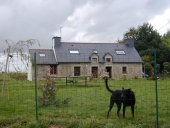 Ferme, Kerleüiné (Pluméliau fusionnée en Pluméliau-Bieuzy en 2019)