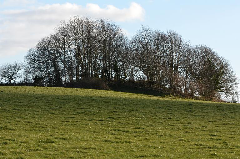 Motte féodale de Kerroué (Plufur)