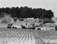 Ferme, Ty Naot, Pempoul (Saint-Pol-de-Léon)