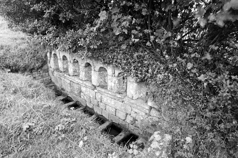 Fontaine de Dévotion des Sept-Saints, C.D. 50 (Bulat-Pestivien)