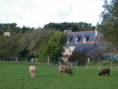 Maison 8, hent Min Meur, Landrellec (Pleumeur-Bodou)