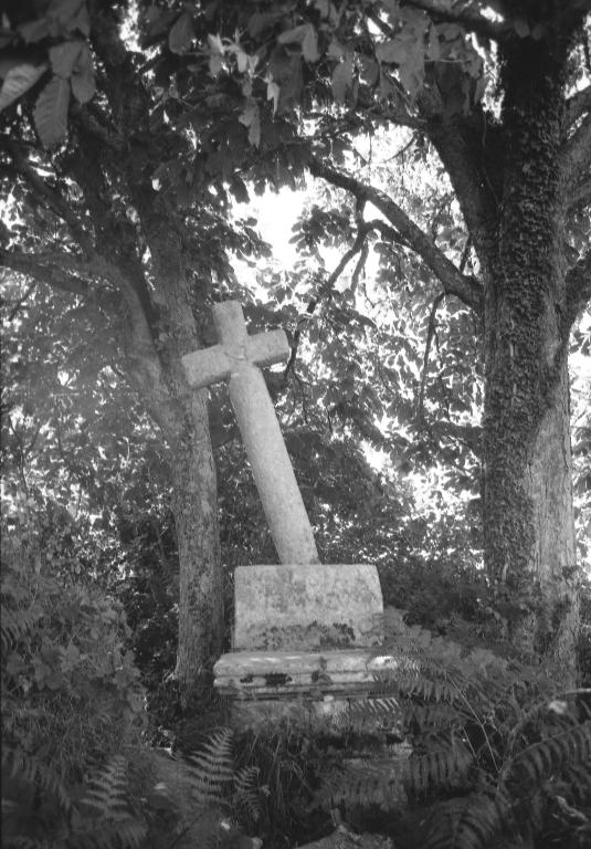 Croix de chemin, près de Confort (Saint-Thuriau)