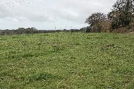 Tumulus, Neven-Parc-an-Dorguen (Lanrivoaré)
