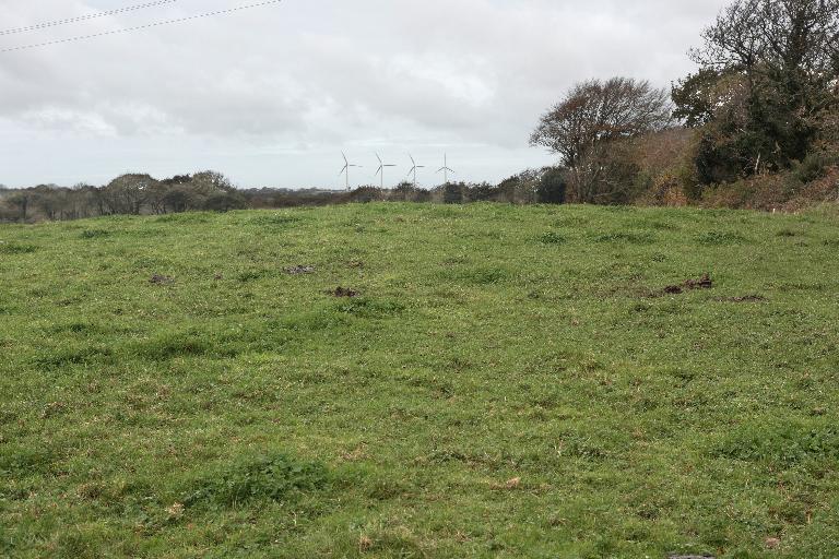 Tumulus, Neven-Parc-an-Dorguen (Lanrivoaré)